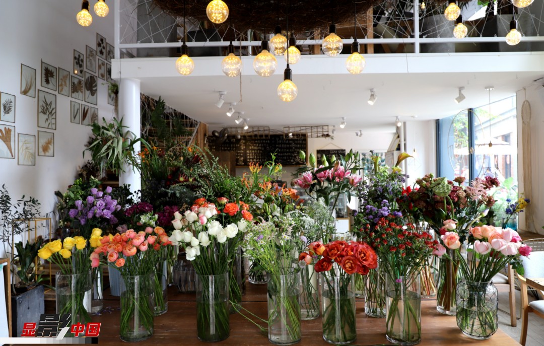 從決定從事鮮花這個行業(yè)以來，王黎媛花了很多的時間和精力去學(xué)習(xí)花藝，不斷提高自己的專業(yè)水平。而在小店的選址、裝修和布置方面，王黎媛同樣花費了不少心思，“希望我的小店和鮮花一樣，是有溫度的、鮮活的?！绷硗猓⌒〉幕ǖ暌膊刂蟠蟮膲粝耄拔覀冊颇硝r花很多，但真正做成品牌的卻很少，這是非?？上У摹Ｎ蚁Ｍ盐业牡曜龀善放?，不光能扎根昆明，還能落地到云南的其他城市，甚至省外的城市?！眻D為王黎媛的花店一角。新華網(wǎng) 周亞平/攝 念新洪/文